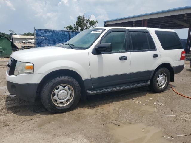 FORD EXPEDITION 2010 1fmju1g50aeb64848