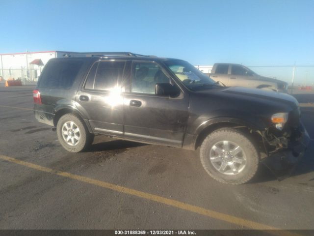 FORD EXPEDITION 2010 1fmju1g52aeb49042