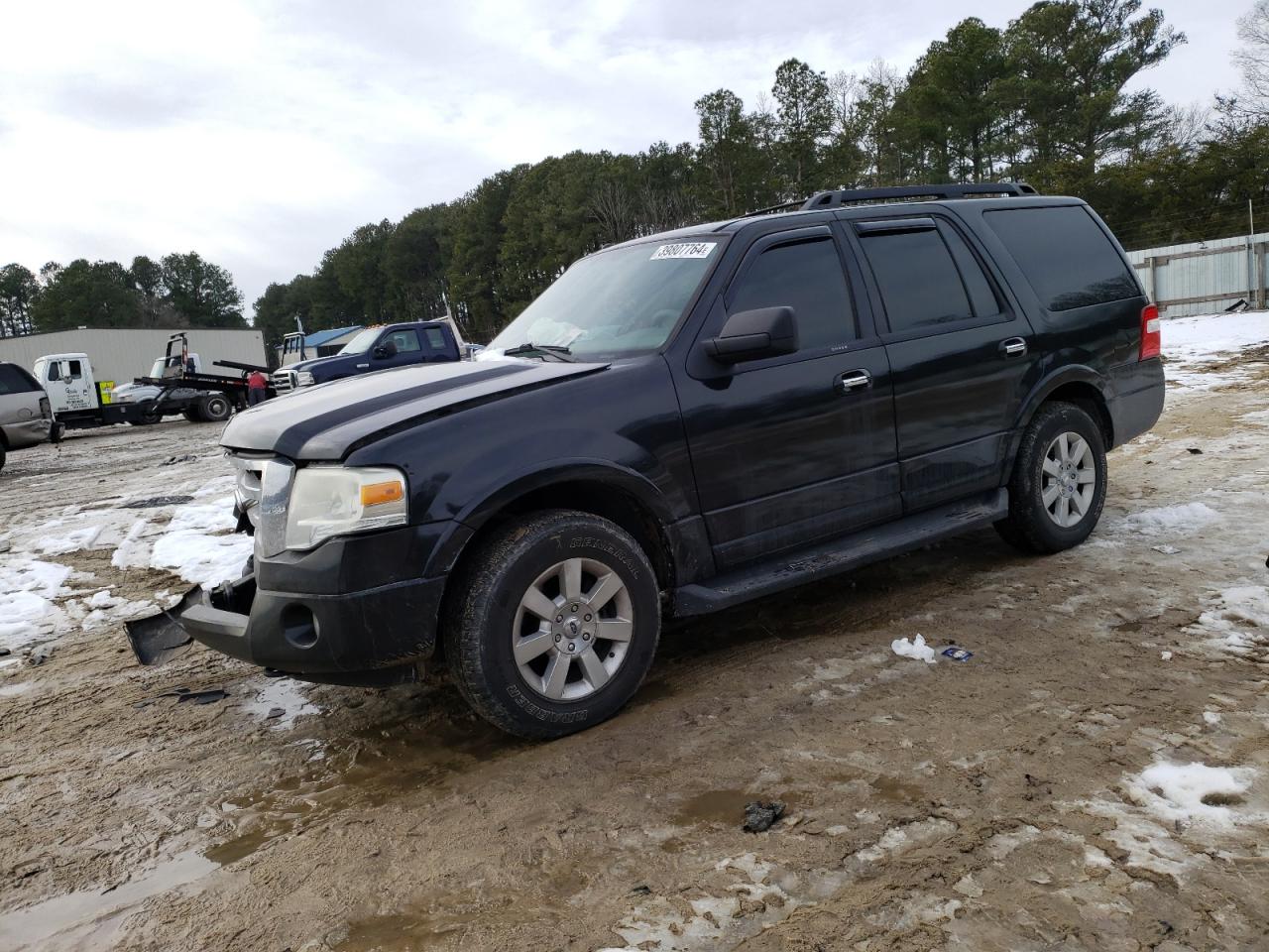 FORD EXPEDITION 2010 1fmju1g54aeb03695