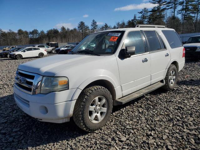 FORD EXPEDITION 2010 1fmju1g56aeb66409