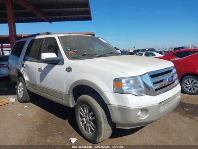 FORD EXPEDITION 2010 1fmju1h55aea53517