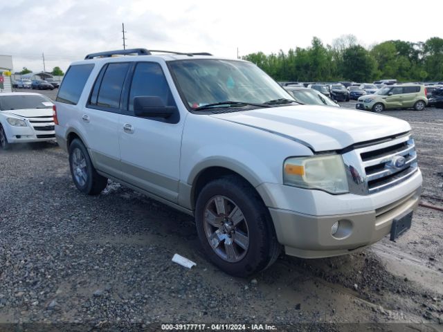 FORD EXPEDITION 2010 1fmju1h59aea53049