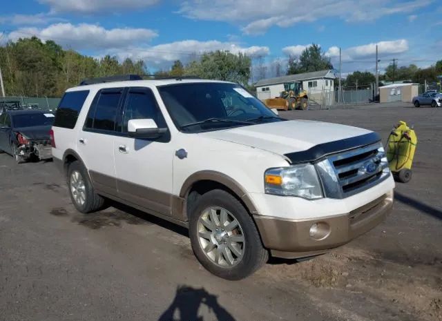 FORD EXPEDITION 2011 1fmju1h59bef20813