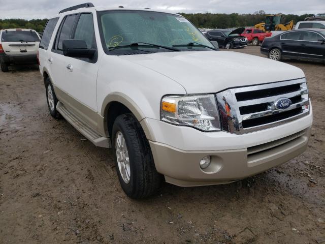 FORD EXPEDITION 2010 1fmju1h5xaeb69831