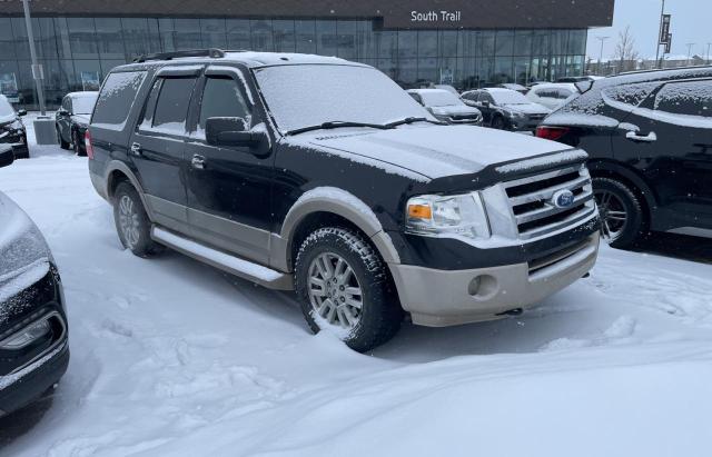 FORD EXPEDITION 2010 1fmju1j53aea14693