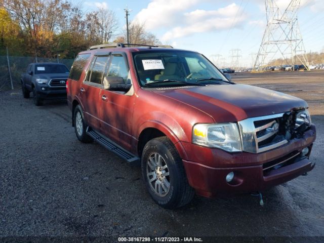 FORD EXPEDITION 2011 1fmju1j53bef31445