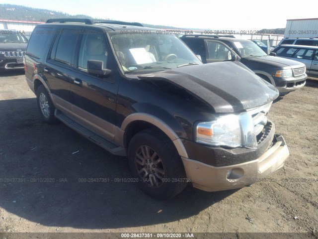 FORD EXPEDITION 2014 1fmju1j53eef20207