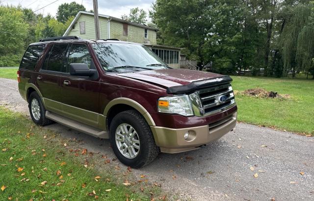 FORD EXPEDITION 2011 1fmju1j57bef20531