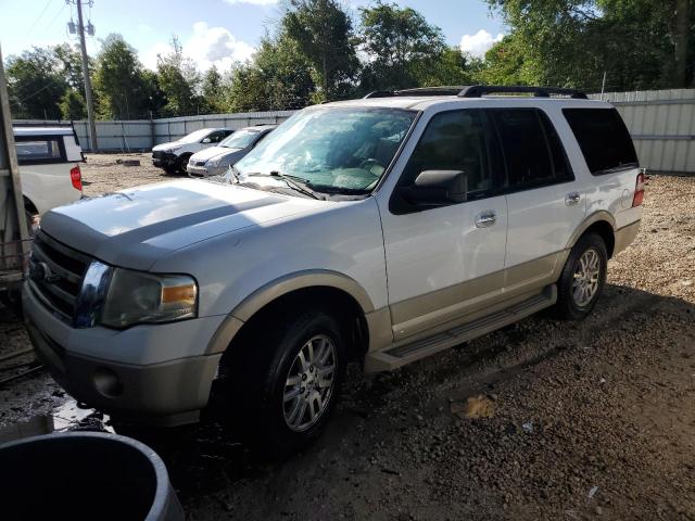 FORD EXPEDITION 2010 1fmju1j59aeb59124