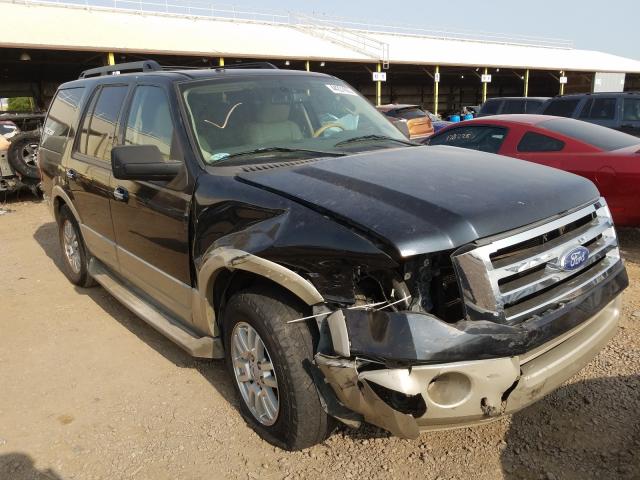 FORD EXPEDITION 2010 1fmju1j5xaeb66115