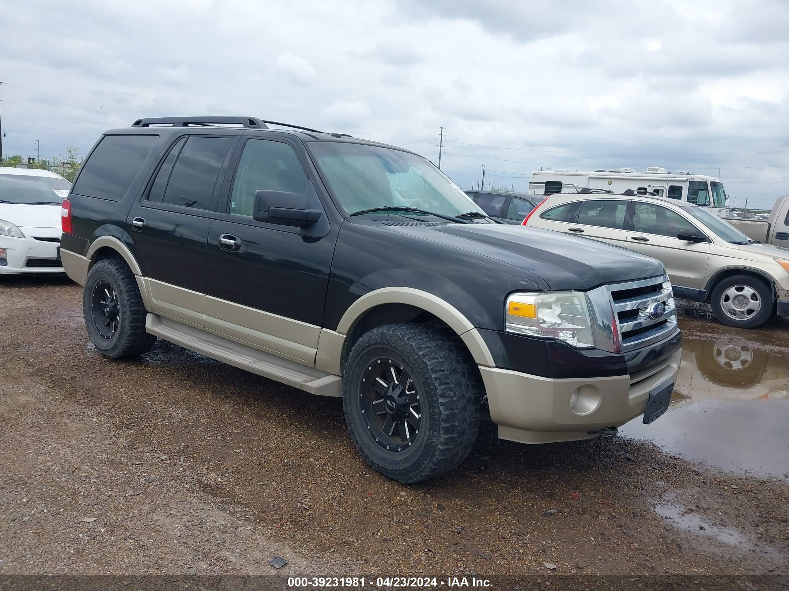 FORD EXPEDITION 2010 1fmju1j5xaeb72125