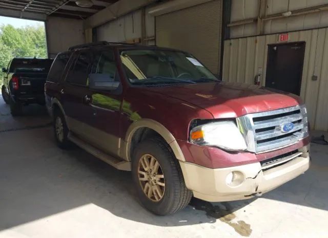 FORD EXPEDITION 2011 1fmju1j5xbef37663