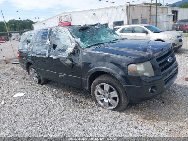 FORD EXPEDITION 2010 1fmju1k53aeb46254