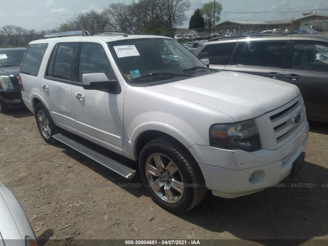 FORD EXPEDITION 2010 1fmju1k53aeb52457