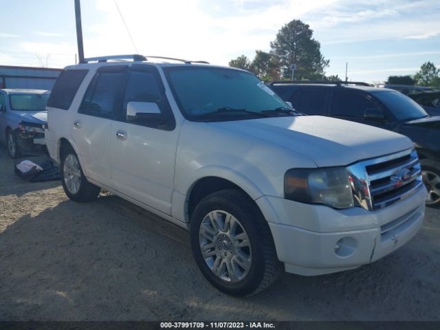 FORD EXPEDITION 2011 1fmju1k53bef45229