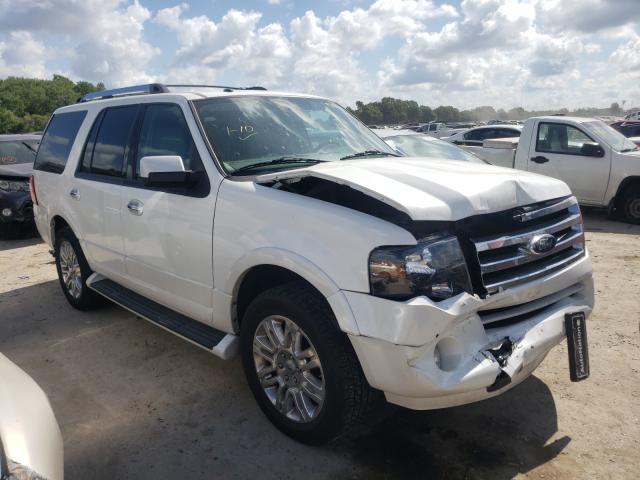 FORD EXPEDITION 2014 1fmju1k53eef01607