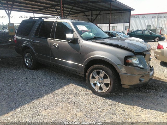 FORD EXPEDITION 2010 1fmju1k54aea81284