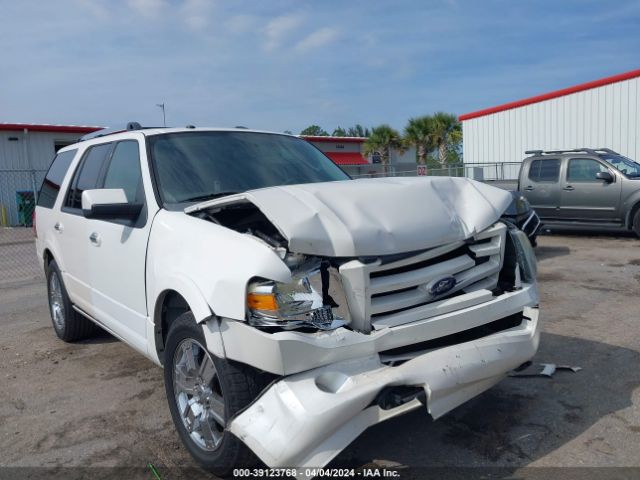 FORD EXPEDITION 2010 1fmju1k54aeb46019