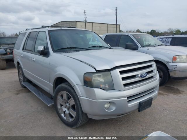 FORD EXPEDITION 2010 1fmju1k54aeb55061