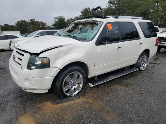 FORD EXPEDITION 2010 1fmju1k56aeb46586