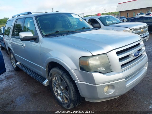 FORD EXPEDITION 2010 1fmju1k56aem76135