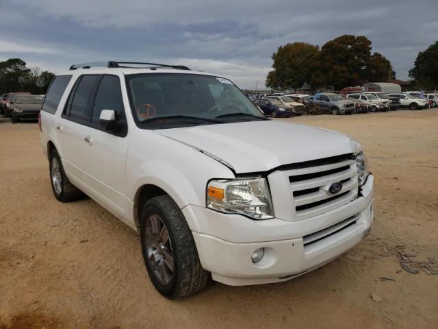 FORD EXPEDITION 2010 1fmju1k57aeb46127