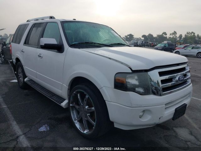 FORD EXPEDITION 2013 1fmju1k57def56169