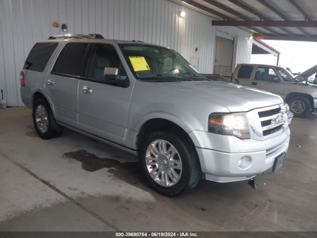 FORD EXPEDITION 2013 1fmju1k57def61534