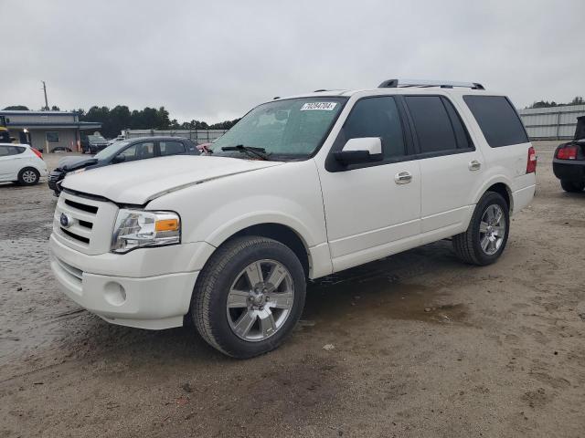 FORD EXPEDITION 2010 1fmju1k58aeb57461