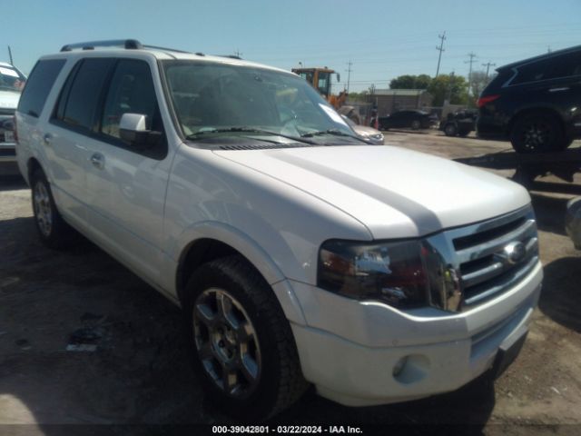 FORD EXPEDITION 2013 1fmju1k58def63874