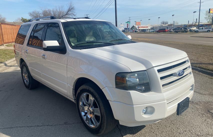 FORD EXPEDITION 2010 1fmju1k59aeb55105