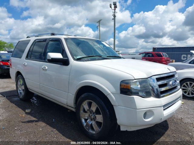 FORD EXPEDITION 2010 1fmju1k59aeb68050