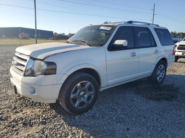 FORD EXPEDITION 2013 1fmju1k59def51281