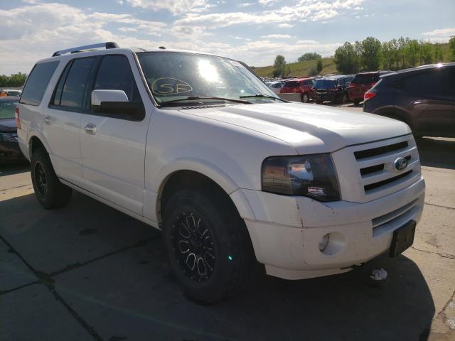 FORD EXPEDITION 2010 1fmju2a51aeb53341