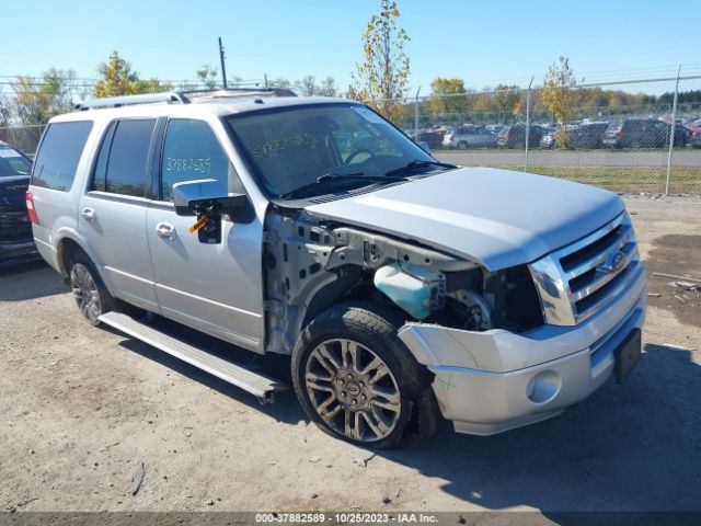 FORD EXPEDITION 2013 1fmju2a51def44901