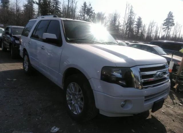 FORD EXPEDITION 2014 1fmju2a51eef63126