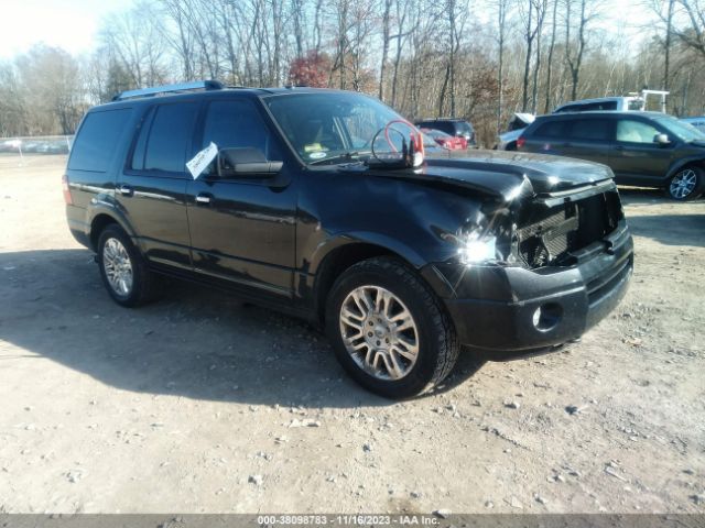 FORD EXPEDITION 2010 1fmju2a52aeb64249