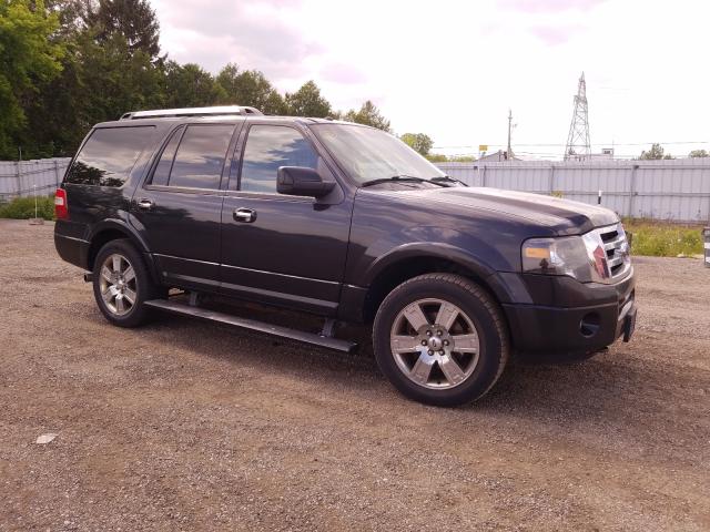 FORD EXPEDITION 2010 1fmju2a52aeb67667