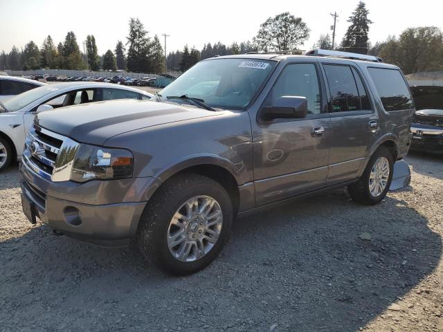 FORD EXPEDITION 2013 1fmju2a52def53381