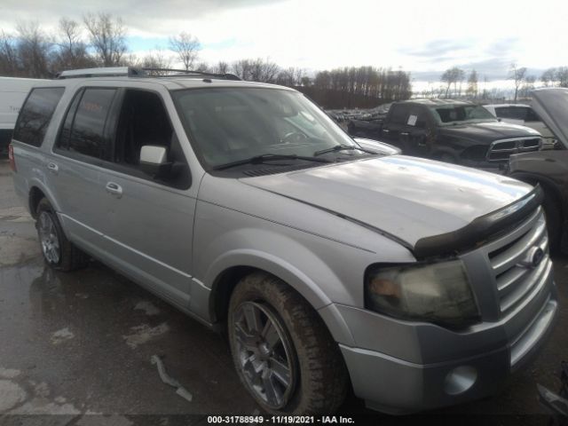 FORD EXPEDITION 2010 1fmju2a53aea53421