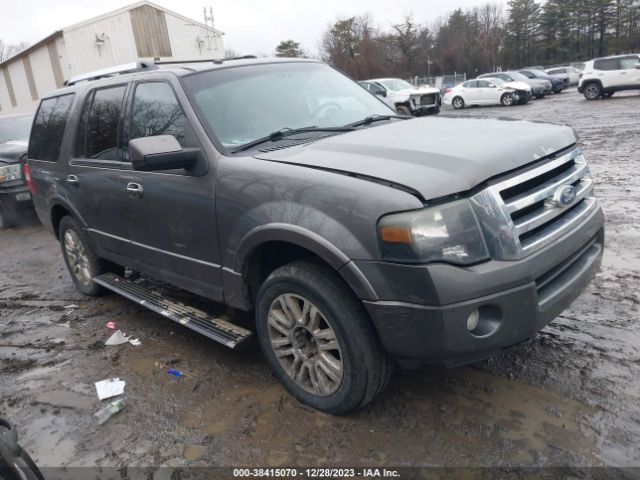 FORD EXPEDITION 2011 1fmju2a53bef23559