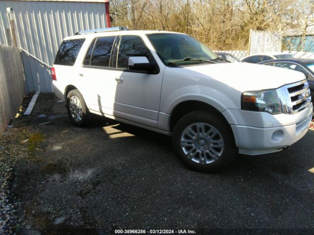 FORD EXPEDITION 2013 1fmju2a53def44804