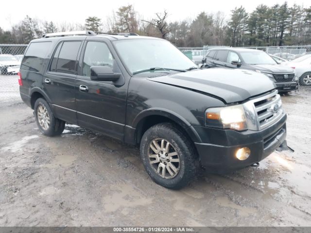 FORD EXPEDITION 2013 1fmju2a53def47427