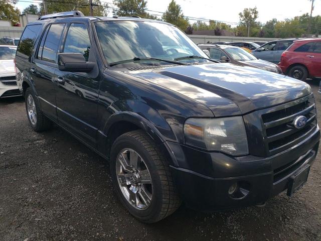 FORD EXPEDITION 2010 1fmju2a54aea33842