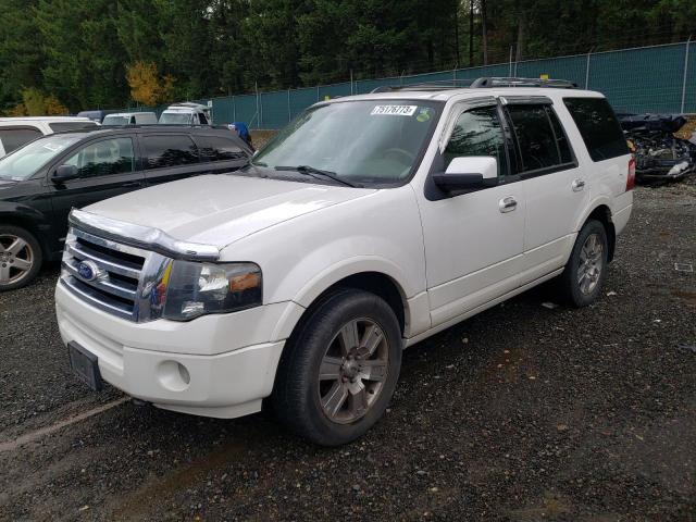 FORD EXPEDITION 2010 1fmju2a54aea38149