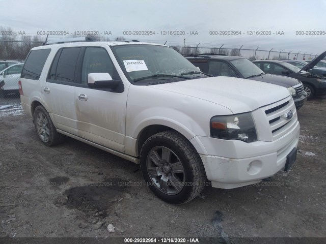 FORD EXPEDITION 2010 1fmju2a54aeb66715