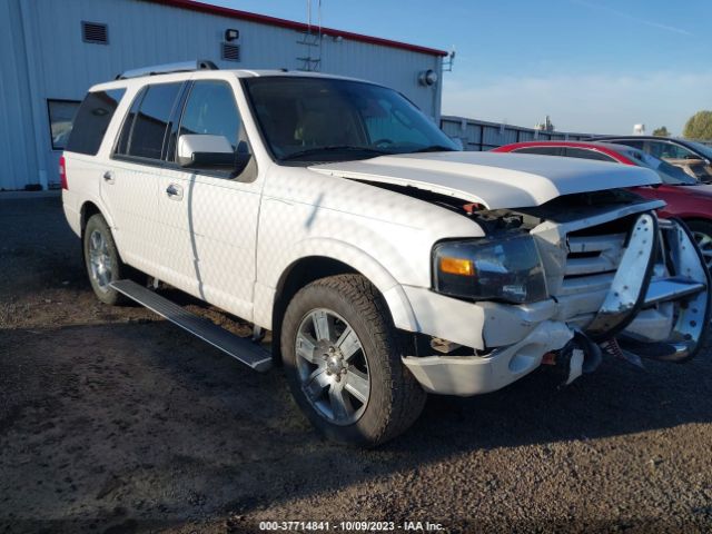 FORD EXPEDITION 2010 1fmju2a54aeb72384