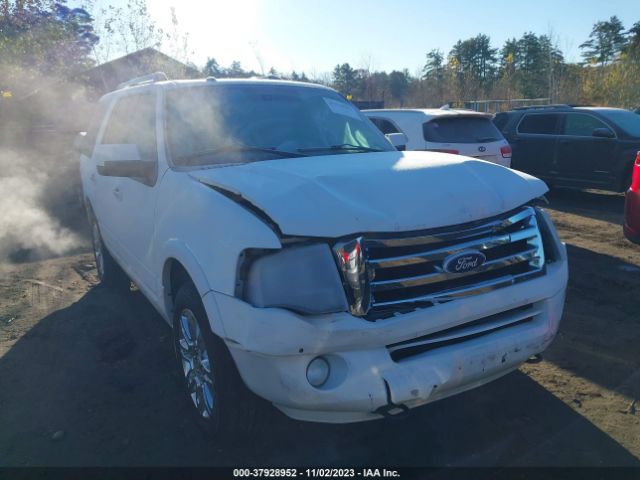 FORD EXPEDITION 2013 1fmju2a54def26313