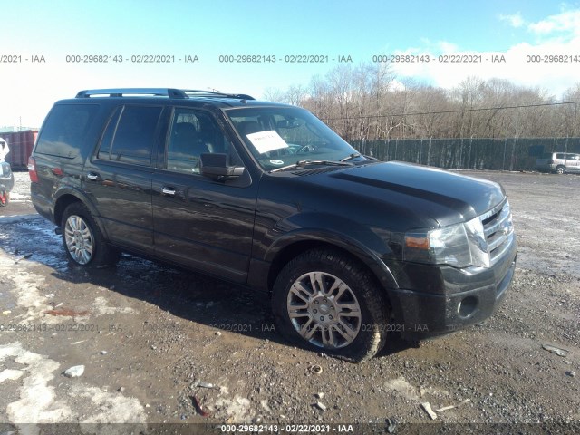 FORD EXPEDITION 2013 1fmju2a54def33066