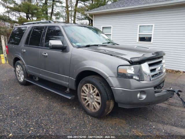 FORD EXPEDITION 2011 1fmju2a55bef20484